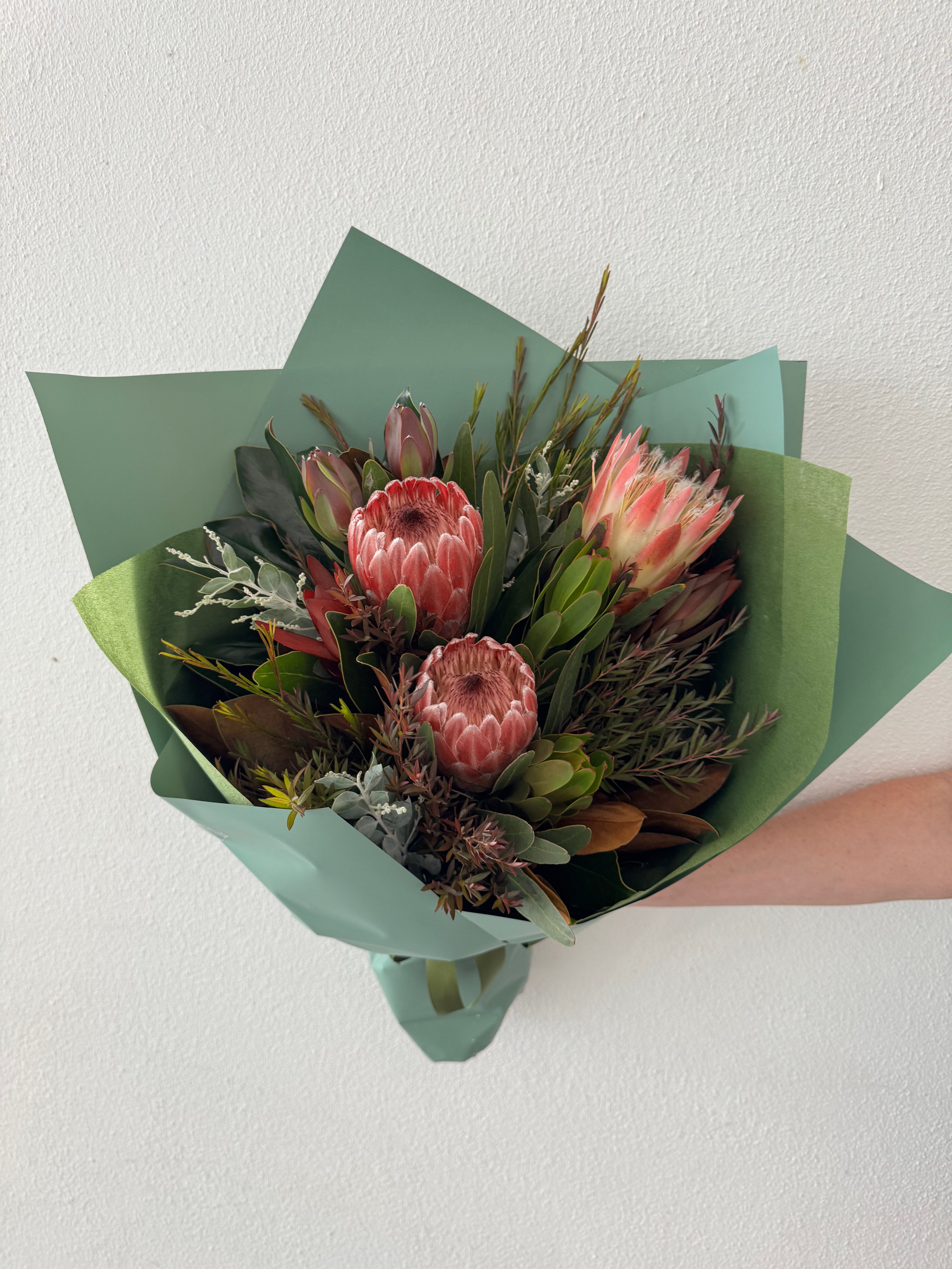 Protea selection- Medium