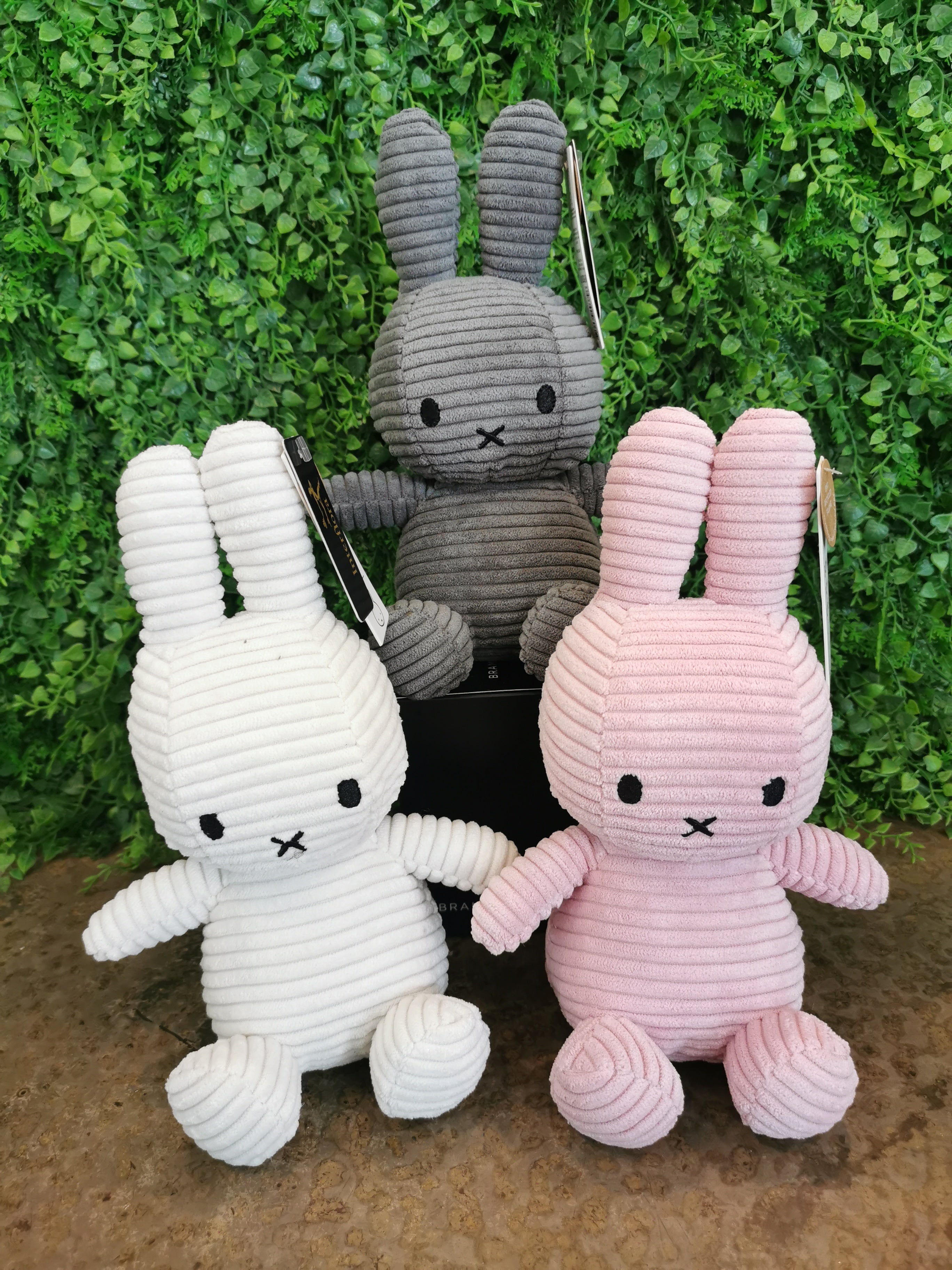 Miffy Bunnies