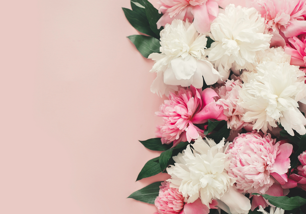 Home Garden Gate Florist Best Florist In Gold Coast